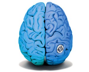 1120_mz_brain