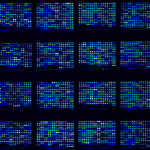 DNA microarrays