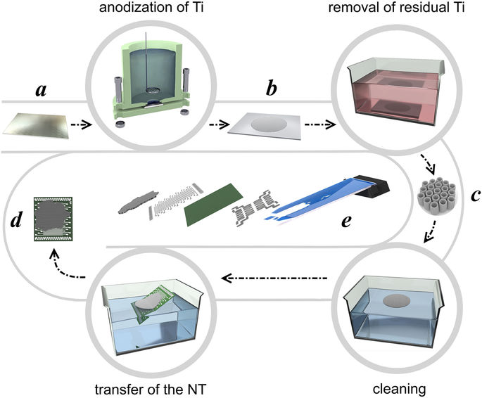 Fig 1: The scheme of fabrication the multisensor chip based on TiOx NT array: (a–e) denote respectively Ti foil (a), Ti foil with as-prepared NT array (b), the extracted NT array (c), the NT array placed over the chip (d), the scheme of multisensor chip wired into 50-pin ceramic card (e) Image credit: Scientific Reports