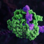 A screen grab from the viral CRISPR-Cas video created by Skoltech students and Visual Science. Image: Visual Science.