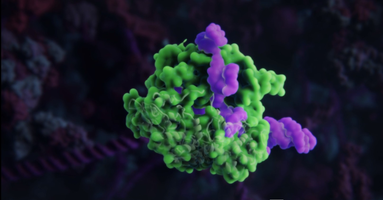 A screen grab from the viral CRISPR-Cas video created by Skoltech students and Visual Science. Image: Visual Science.