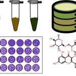 chemmedchem_graph_abstr-1