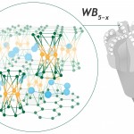 boride-wb5-for-pdc