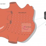 af-drivers-mapping-camera-small