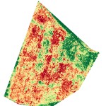 Ортофотоплан с отмеченными на нем районами произрастания борщевика (ярко зелёным цветом)