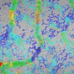 Red blood cell velocity distribution measured and mapped via the new method devised by the Skoltech-SSU team. Each arrowhead corresponds to one cell, with the velocity color-coded from blue (slow) through green (moderate) to red (fast). Credit: Maxim Kurochkin/Skoltech