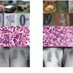 Figure 1. The top two rows show images of cars and digits. Given such data, conventional methods are fairly good at spotting anomalies (right) among ordinary cases (left). The bottom two rows show medical scans — these prove to be more difficult. Credit: Nina Shvetsova et al./IEEE Access