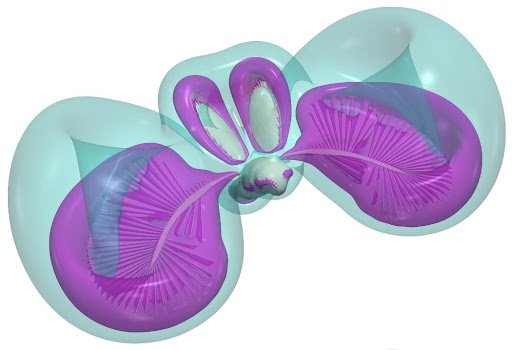 figure-4