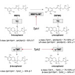 snimok-ekrana-2022-02-28-v-16-15-55