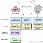 biomedicines-10-01397-ag