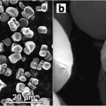 Image. These scanning electron microscopy images at different magnifications reveal the spherelike morphology of the powder particles of NMC622, one of the two materials synthesized in the study by Skoltech researchers. The image is relatively sparsely populated by particles for better visibility, but their spherical morphology means that in an actual battery, they can be compacted to a greater extent than the conventional octahedron-shaped particles, so the material will provide more energy density per unit volume, miniaturizing the battery it is used in. Credit: Ivan Moiseev et al./Energy Advances