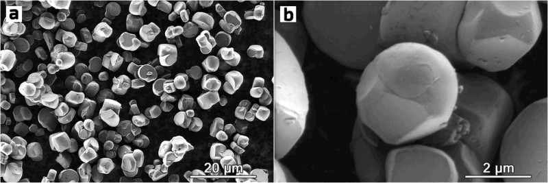 Image. These scanning electron microscopy images at different magnifications reveal the spherelike morphology of the powder particles of NMC622, one of the two materials synthesized in the study by Skoltech researchers. The image is relatively sparsely populated by particles for better visibility, but their spherical morphology means that in an actual battery, they can be compacted to a greater extent than the conventional octahedron-shaped particles, so the material will provide more energy density per unit volume, miniaturizing the battery it is used in. Credit: Ivan Moiseev et al./Energy Advances