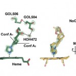 glycerol-article