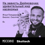 1024h1024_skolteh-2