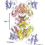 izobrazhenie-2