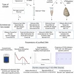 metagenomic_eng