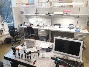 lab