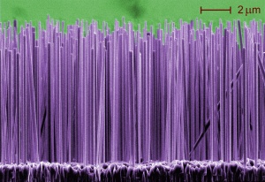 Growing nanowires is a delicate and complex process. Now a Skoltech researcher teamed up with international scientists to reveal a new way to monitor and guide growth by using the material's defects. Image courtesy of nist.gov