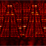 Near field optical microscopy . Image courtesy of the Max Planck Institute.