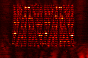 Near field optical microscopy . Image courtesy of the Max Planck Institute.