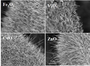 Scanning electron microscopy images of various nanowires synthesized by heating metal at ambient conditions. Source Nanotechnology 20, 165603 (2009).