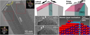 The nanowire growth starts from the atomic layer nucleation at the crystal defect (twin boundary) and continues forming a long range ordering along the defect. The figures show TEM images revealing the twin boundary defects in the nanowire crystal and the mechanism of its layer-by-layer growth (Source: Nano Letters. Article ASAP DOI: 10.1021/nl502687s). 