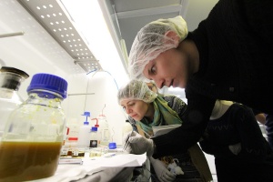 Skoltech student Andrey Vyatskikh (front) examines a carbon nanotube sample he has just treated in various solutions and then "fished" out so it can be dried and examined