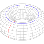 Simple_torus_with_cycles