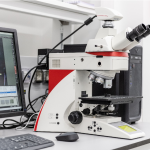 Leica DM 4M Optical microscope