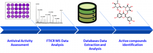 complex-natural-systems-3